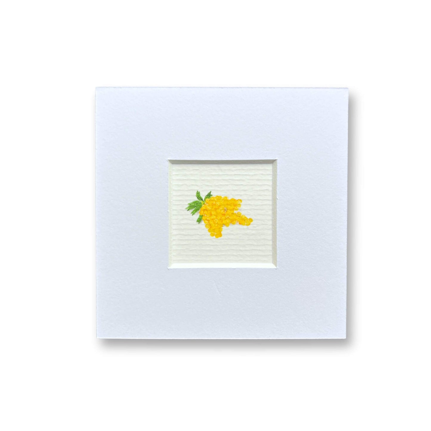 Piccolo - La Mimosa!