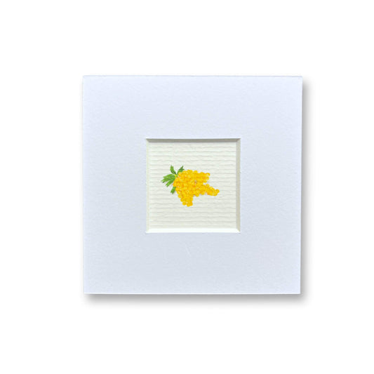 Piccolo - La Mimosa!