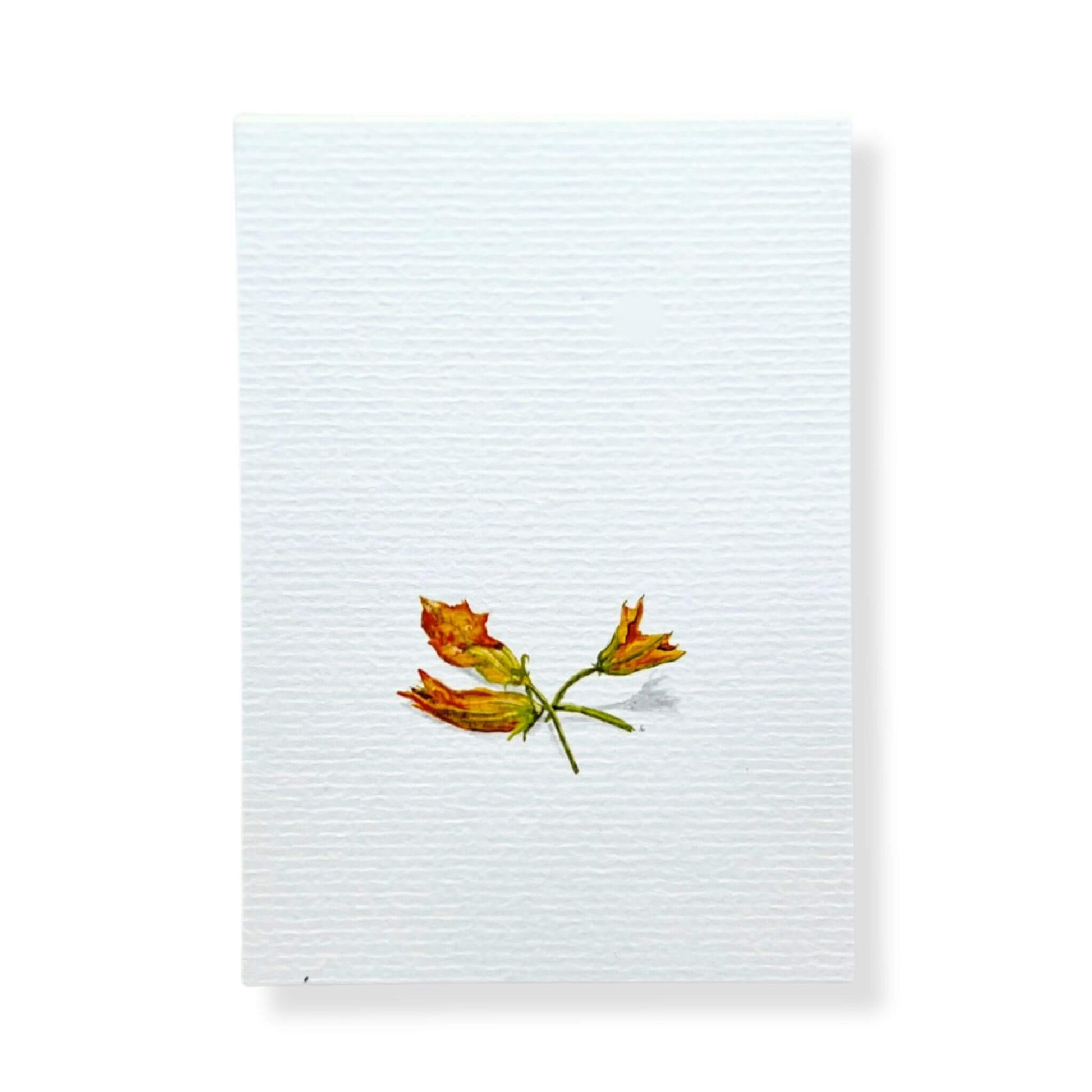 A6 postcard on 300 gram off-white aquarel like paper  with illustration by Stefanie Vietor of zucchini flowers