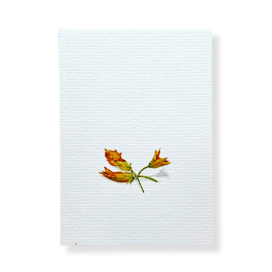 A6 postcard on 300 gram off-white aquarel like paper  with illustration by Stefanie Vietor of zucchini flowers