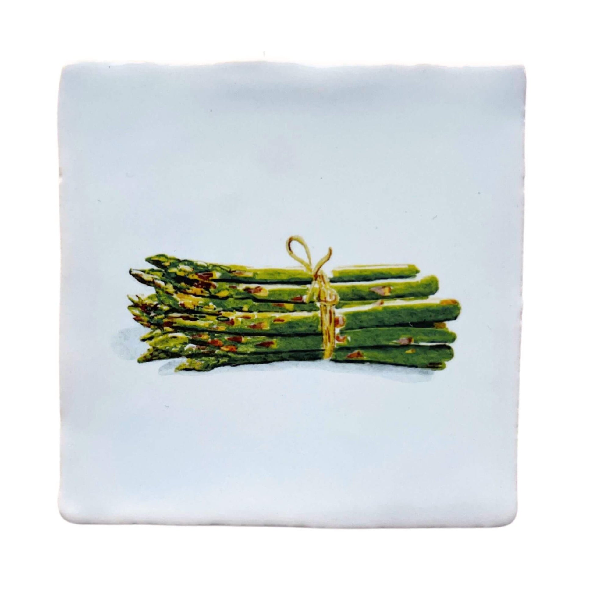 White tile (witje) with printed illustration by Stefanie Vietor of Asparagus